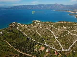 Αγροτεμάχια 4.050 τ.μ. για πώληση, Αργολίδα, Κρανίδι-thumb-5