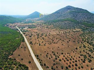 Αγροτεμάχια 170.000 τ.μ. για πώληση, Αργολίδα, Ερμιόνη-thumb-3