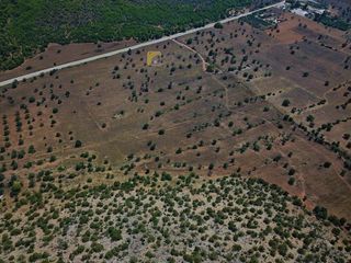 Αγροτεμάχια 170.000 τ.μ. για πώληση, Αργολίδα, Ερμιόνη-thumb-14