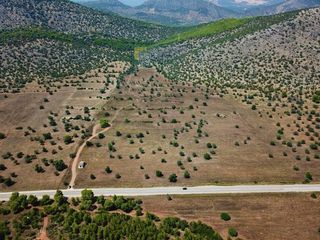 Αγροτεμάχια 170.000 τ.μ. για πώληση, Αργολίδα, Ερμιόνη-thumb-21