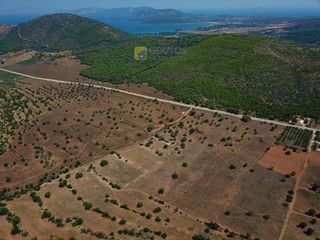 Αγροτεμάχια 170.000 τ.μ. για πώληση, Αργολίδα, Ερμιόνη-thumb-29