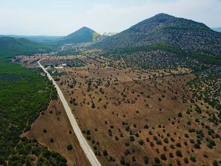 Αγροτεμάχια 170.000 τ.μ. για πώληση, Αργολίδα, Ερμιόνη-thumb-23