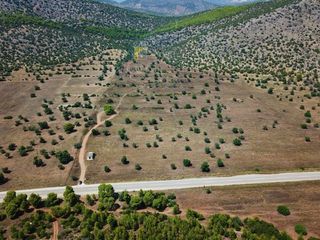 Αγροτεμάχια 170.000 τ.μ. για πώληση, Αργολίδα, Ερμιόνη-thumb-8