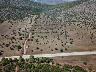 Αγροτεμάχια 170.000 τ.μ. για πώληση, Αργολίδα, Ερμιόνη-thumb-4