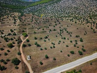 Αγροτεμάχια 170.000 τ.μ. για πώληση, Αργολίδα, Ερμιόνη-thumb-18