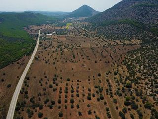 Αγροτεμάχια 170.000 τ.μ. για πώληση, Αργολίδα, Ερμιόνη-thumb-12