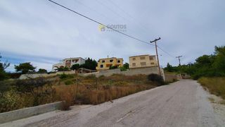 Οικόπεδο 1.007,78 τ.μ. για πώληση, Αργολίδα, Κρανίδι-thumb-7