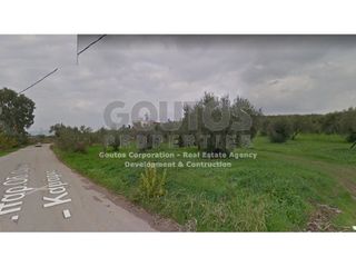 Οικόπεδο 975 τ.μ. για πώληση, Εύβοια, Ωρεοί-thumb-1