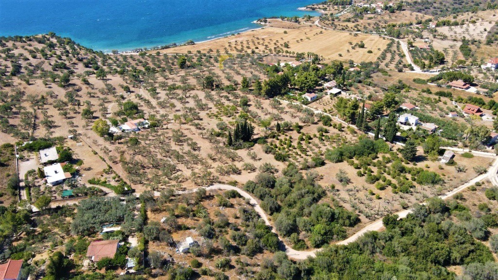 Αγροτεμάχια 5.000 τ.μ. προς πώληση, Λάκκες Κρανιδίου