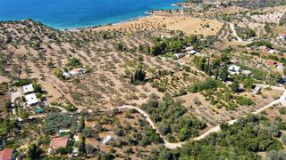 Αγροτεμάχια 5.000 τ.μ. για πώληση, Αργολίδα, Κρανίδι-thumb-4