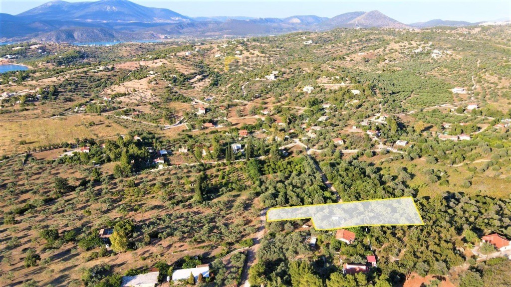 Αγροτεμάχια 5.000 τ.μ. προς πώληση, Λάκκες Κρανιδίου