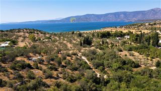 Αγροτεμάχια 5.000 τ.μ. για πώληση, Αργολίδα, Κρανίδι-thumb-7