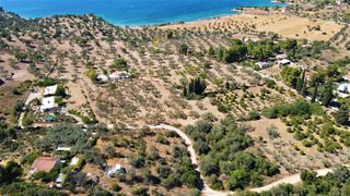 Αγροτεμάχια 5.000 τ.μ. για πώληση, Αργολίδα, Κρανίδι-thumb-24