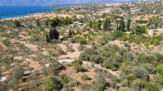 Αγροτεμάχια 5.000 τ.μ. για πώληση, Αργολίδα, Κρανίδι-thumb-22
