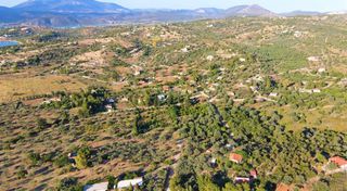 Αγροτεμάχια 5.000 τ.μ. για πώληση, Αργολίδα, Κρανίδι-thumb-17