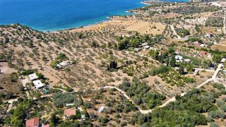 Αγροτεμάχια 5.000 τ.μ. για πώληση, Αργολίδα, Κρανίδι-thumb-5