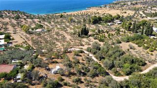 Αγροτεμάχια 5.000 τ.μ. για πώληση, Αργολίδα, Κρανίδι-thumb-6