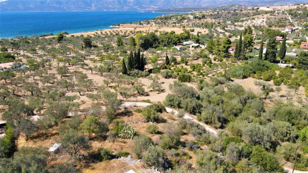 Αγροτεμάχια 5.000 τ.μ. προς πώληση, Λάκκες Κρανιδίου