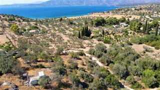 Αγροτεμάχια 5.000 τ.μ. για πώληση, Αργολίδα, Κρανίδι-thumb-21