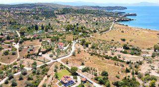Αγροτεμάχια 5.000 τ.μ. για πώληση, Αργολίδα, Κρανίδι-thumb-12