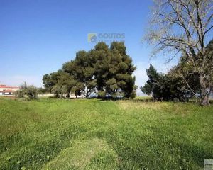 Οικόπεδο 15.000 τ.μ. προς πώληση, Αρχαία Επίδαυρος-thumb-18
