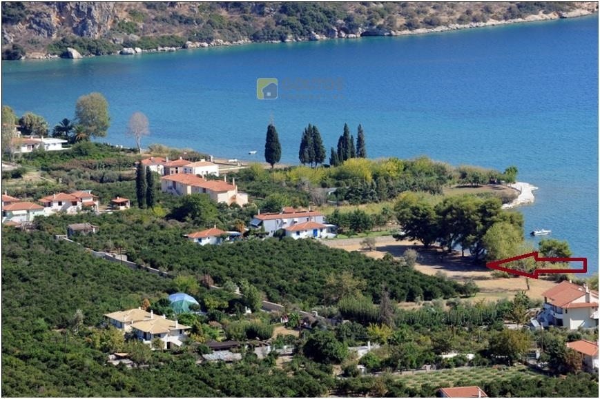 Οικόπεδο 15.000 τ.μ. προς πώληση, Αρχαία Επίδαυρος