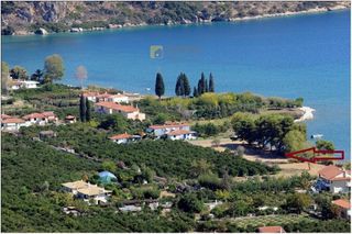 Οικόπεδο 15.000 τ.μ. προς πώληση, Αρχαία Επίδαυρος-thumb-3