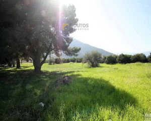 Οικόπεδο 15.000 τ.μ. προς πώληση, Αρχαία Επίδαυρος-thumb-19