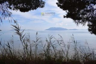 Οικόπεδο 15.000 τ.μ. προς πώληση, Αρχαία Επίδαυρος-thumb-29