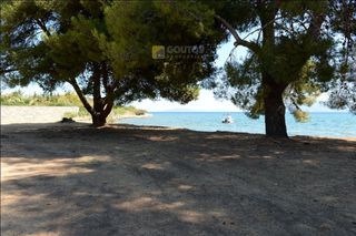 Οικόπεδο 15.000 τ.μ. προς πώληση, Αρχαία Επίδαυρος-thumb-12