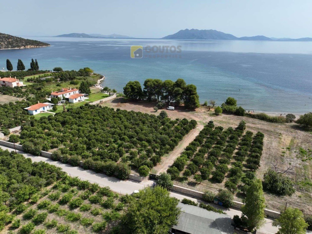 Οικόπεδο 15.000 τ.μ. προς πώληση, Αρχαία Επίδαυρος