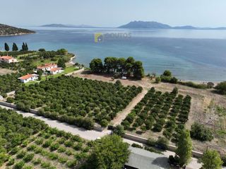 Οικόπεδο 15.000 τ.μ. προς πώληση, Αρχαία Επίδαυρος-thumb-1
