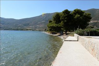 Οικόπεδο 15.000 τ.μ. προς πώληση, Αρχαία Επίδαυρος-thumb-9