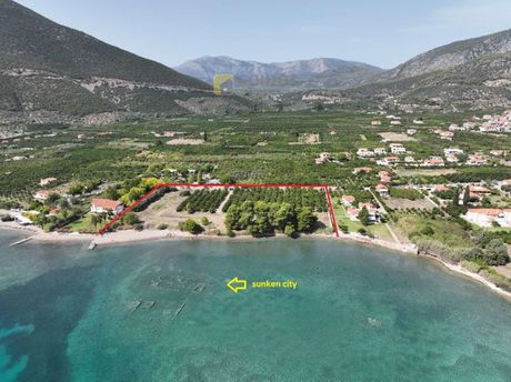 Οικόπεδο 15.000τ.μ. για πώληση-Επίδαυρος