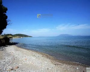Οικόπεδο 15.000 τ.μ. προς πώληση, Αρχαία Επίδαυρος-thumb-26
