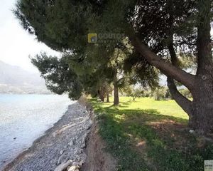 Οικόπεδο 15.000 τ.μ. προς πώληση, Αρχαία Επίδαυρος-thumb-21