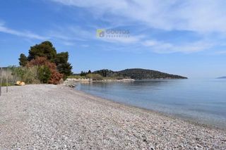 Οικόπεδο 15.000 τ.μ. προς πώληση, Αρχαία Επίδαυρος-thumb-17