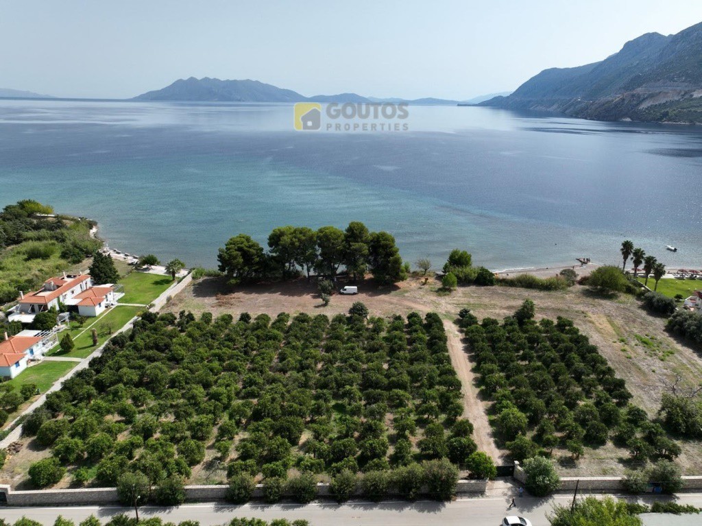 Οικόπεδο 15.000 τ.μ. προς πώληση, Αρχαία Επίδαυρος