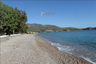 Οικόπεδο 15.000 τ.μ. προς πώληση, Αρχαία Επίδαυρος-thumb-14