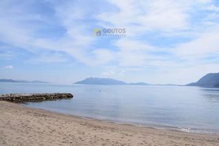Οικόπεδο 15.000 τ.μ. προς πώληση, Αρχαία Επίδαυρος-thumb-15