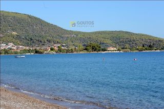 Οικόπεδο 15.000 τ.μ. προς πώληση, Αρχαία Επίδαυρος-thumb-13