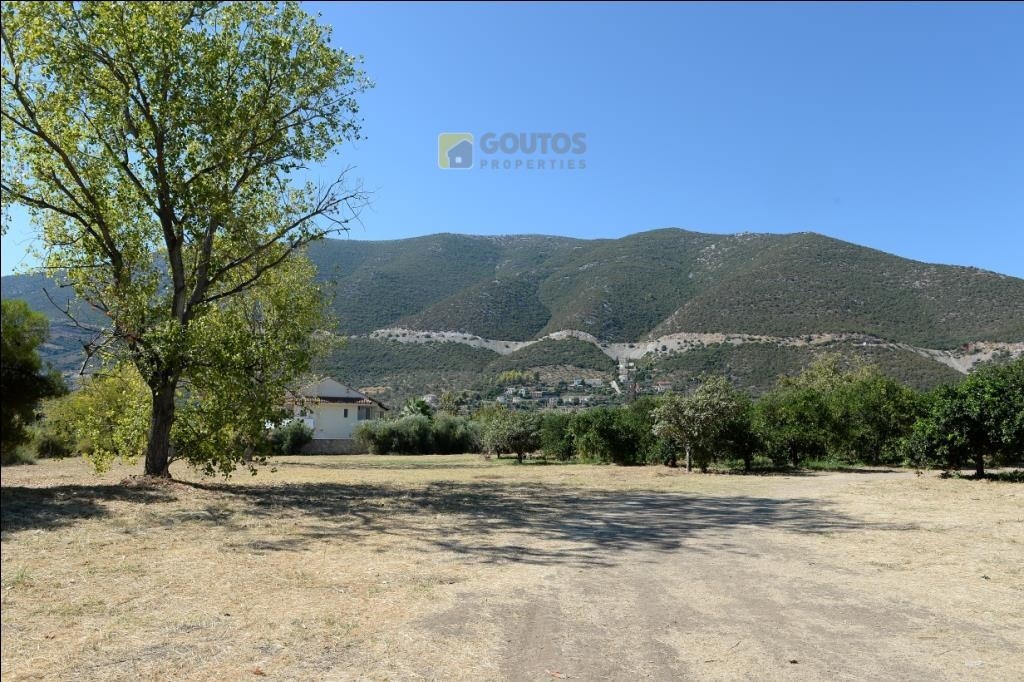 Οικόπεδο 15.000 τ.μ. προς πώληση, Αρχαία Επίδαυρος