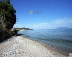 Οικόπεδο 15.000 τ.μ. προς πώληση, Αρχαία Επίδαυρος-thumb-27