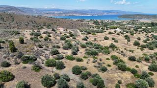 Αγροτεμάχια 6.000 τ.μ. για πώληση, Αργολίδα, Ερμιόνη-thumb-18