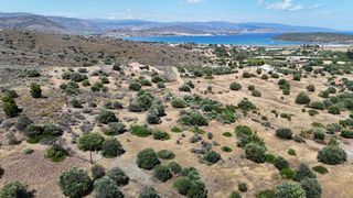 Αγροτεμάχια 6.000 τ.μ. για πώληση, Αργολίδα, Ερμιόνη-thumb-17