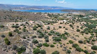 Αγροτεμάχια 6.000 τ.μ. για πώληση, Αργολίδα, Ερμιόνη-thumb-19