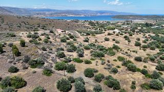 Αγροτεμάχια 6.000 τ.μ. για πώληση, Αργολίδα, Ερμιόνη-thumb-13