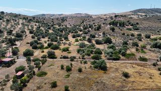 Αγροτεμάχια 6.000 τ.μ. για πώληση, Αργολίδα, Ερμιόνη-thumb-14