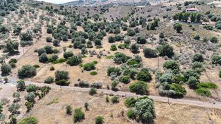 Αγροτεμάχια 6.000 τ.μ. για πώληση, Αργολίδα, Ερμιόνη-thumb-9