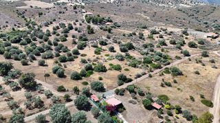 Αγροτεμάχια 6.000 τ.μ. για πώληση, Αργολίδα, Ερμιόνη-thumb-15